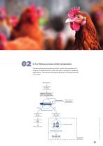 Separation Technology for the meat industry - 8