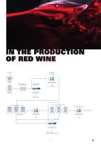 Wine Production - 6