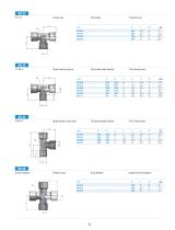 RA - Brass Nickel-Standard Fittings - 6