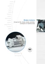 Brake motors-2