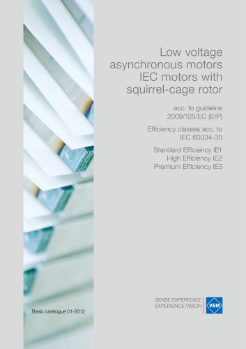 Low voltage asynchronous motors IEC motors with squirrel-cage rotor