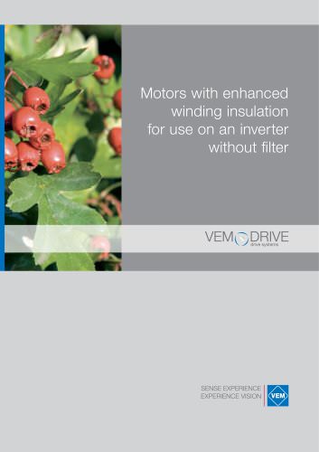 Motors for use on a frequency converter