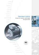 Standard motors - 2