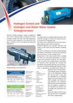 Hydrogen cooled turbogenerators - 2