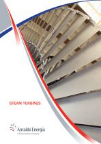 STEAM TURBINES_2013-1