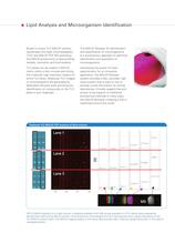 Autoflix speed-8