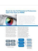 prime-2