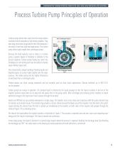 Regenerative Turbine Process Pumps - 5