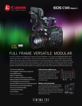 C500 Mark II-1