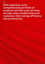 Low voltage High Dynamic Performance motors-2