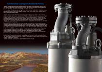 CORROSION-RESISTANT-PUMPS_IB116-C-2