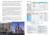 SUBMERSIBLE EXPLOSION-PROOF DEWATERING PUMPS [50Hz]_IB113-E-2