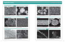 SU3900SE/SE Plus SU3800SE/SE Plus | High resolution Schottky SEM-8