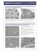 SU8700 SCANNING ELECTRON MICROSCOPE-9