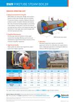 BWR FIRETUBE STEAM BOILER - 2