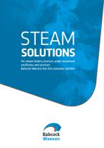 STEAM SOLUTIONS - 1