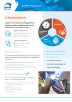 STEAM SOLUTIONS-2
