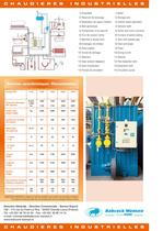 Thermal fluid Heaters EPC-ES-2