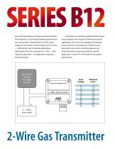 B12 2-Wire Modular Gas Detector - 2