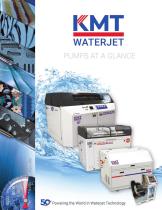 PUMPS AT A GLANCE-1