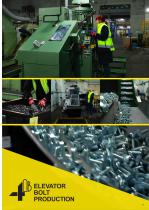 Elevator Bolts-11