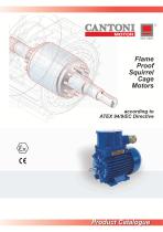 Flame-Proof Squirrel Cage Motors For Chemical Industry-1
