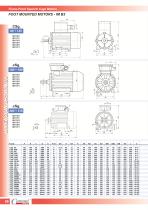 Flame-Proof Squirrel Cage Motors For Chemical Industry-6