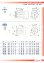 Flame-Proof Squirrel Cage Motors For Chemical Industry-9