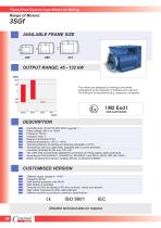 Flame-Proof Squirrel Cage Motors for Mining-6