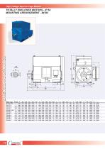 High Voltage Squirrel Cage Motors-12