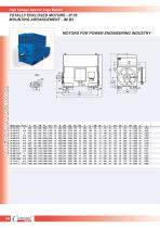 High Voltage Squirrel Cage Motors-14