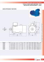 High Voltage Squirrel Cage Motors-15