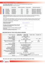 High Voltage Squirrel Cage Motors-4