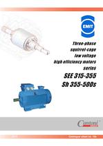 Low Voltage High Efficiency Motors - 1