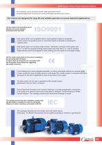 Multi-Speed Three-Phase Induction Motors - 5