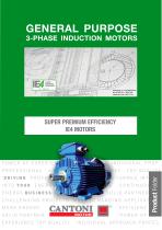 SUPER PREMIUM EFFICIENCY IE4 MOTORS - 1