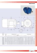 Three-Phase Energy Efficient TEFC Motors in Compliance with NEMA-EPACT and CSA Standards - 12