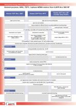 Three-Phase Energy Efficient TEFC Motors in Compliance with NEMA-EPACT and CSA Standards - 5