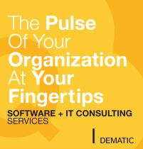 Dematic IT Consulting - 1