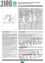 ANSI series Check Valves-4