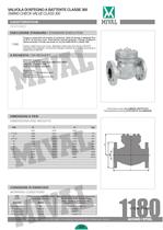 ANSI series Check Valves-5