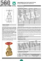 bras gate valve-2