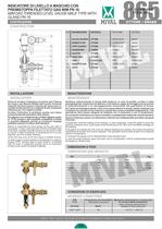 Brass level Gauges-2