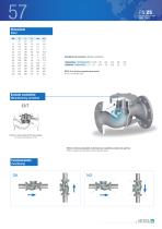 Check valve – Item 57-2