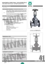 gate valve-5