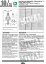 gate valve esente manutenzione-2