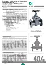 gate valve esente manutenzione-5