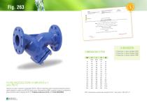 Y strainer – Item 263 TIFQ