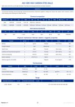 Precision balls - General catalogue-10