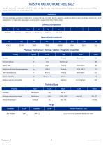 Precision balls - General catalogue-6